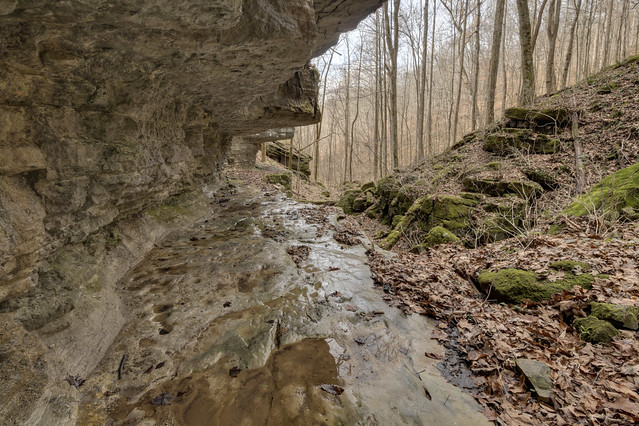 Monteagle limestone outcrop, Blue Hole Branch area, Overton County, Tennessee 1