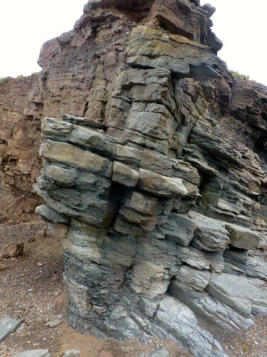 geology sandstone crossbedding carboniferous jogginsformation novascotia