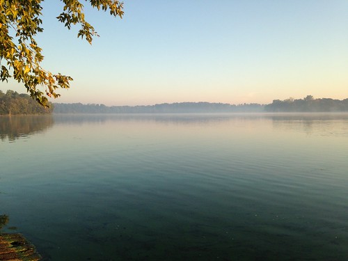 morning mist lake ontario london outdoors early fanshawe fanshawelake