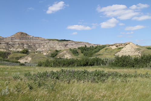 Tolman Badlands HR