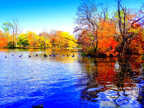 newyork brooklyn dmitriyfomenko image sunset sky clouds prospectpark autumn fall foliage reflection trees