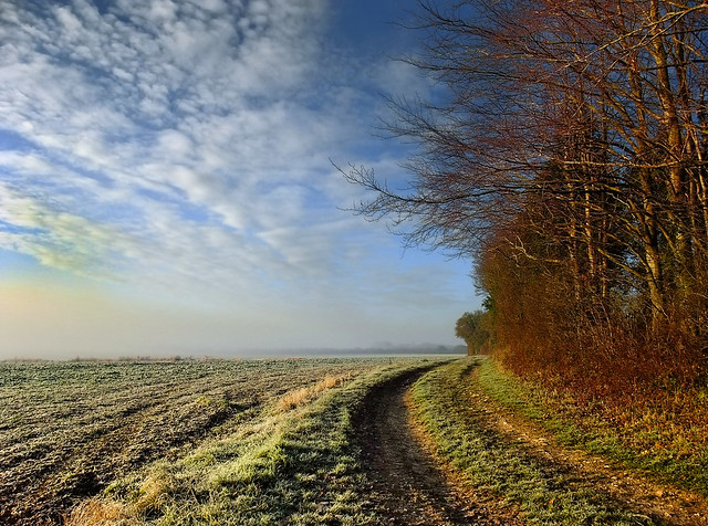 Frosty Hampshire Landscape