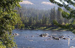 Kamiah ID Clearwater River (#0154)