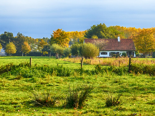 natuur nature groen green gras weide meadow huis house sky wolken sintmartenslatem belgium outdoor buitenopname