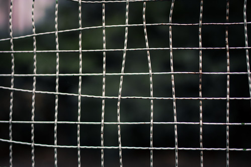 Wire net | by tak_tag