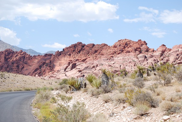 Red Rock Canyon-01