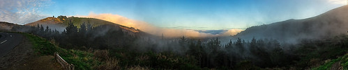 newzealand fog sunrise early canterbury nz governorsbay
