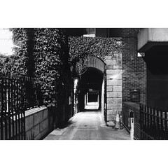 This little driveway adjacent to Stephen's Green looks beautiful at night :heart_eyes: ~~~~~~~~~~~~~~~~~~~~~~~~~~~~~~~ #dublin #ireland #blackandwhite #night #perspective #gate #entrance #architecture #arch #archilovers #visualsoflife #hashtag #symmetry