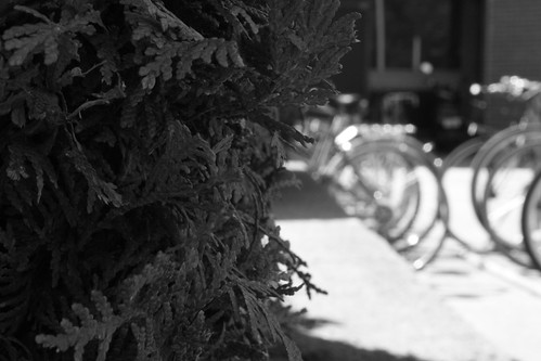 thériault-boisclair_Devoir#2_avant-plan | by maudetheriaultboisclair
