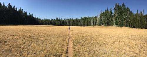 PCT: Day 132