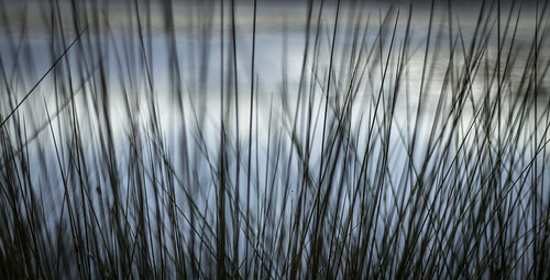 Tranquility | by Martin Snicer Photography