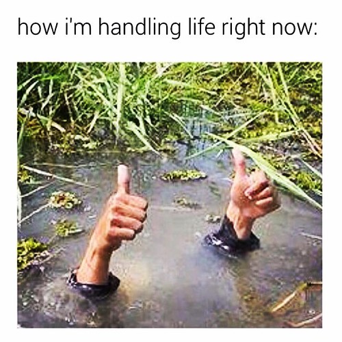 👍 | by echoes887