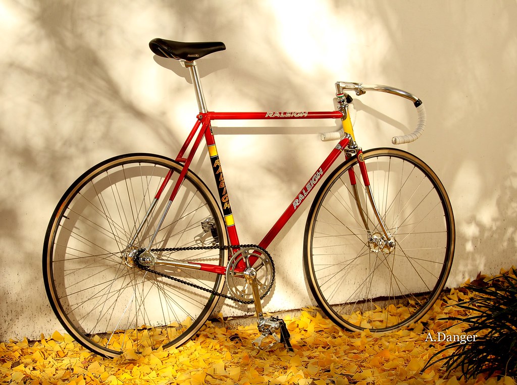 Ti Raleigh Radsport 1975 Raleigh Professional TI Track | 1975 Raleigh Profession… | Flickr
