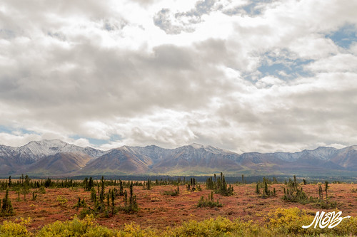 Parks Highway, Alaska
