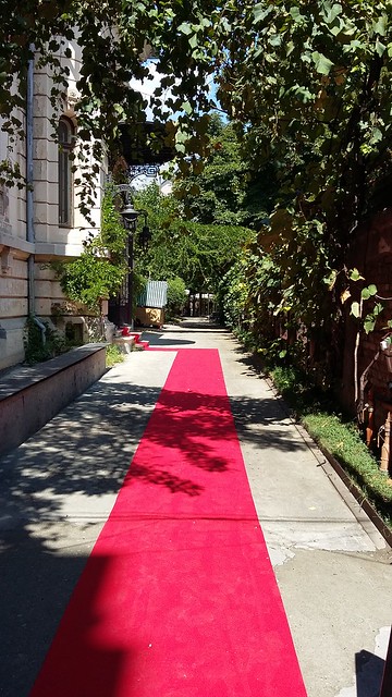 red carpet into the bookshop