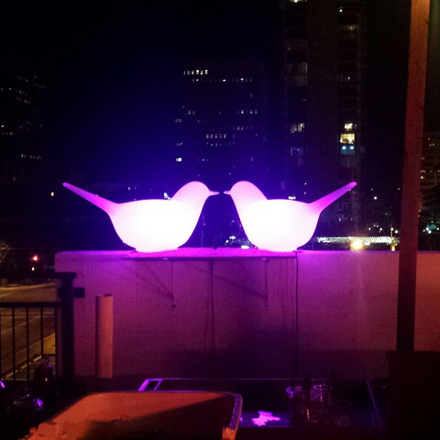 As seen last night at The Clarendon Hotel & Spa Rooftop Bar. (November 2014)
