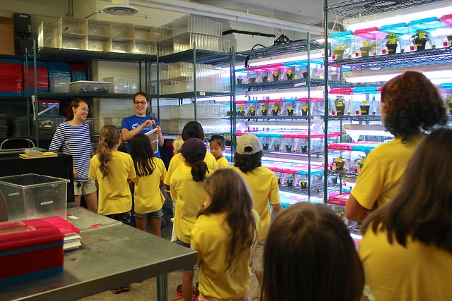 Science Girls! K-5 Summer Camp comes to campus