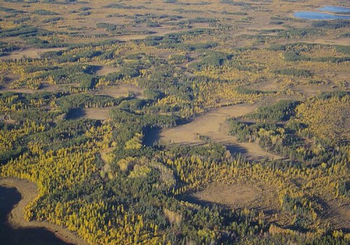 La Biche Wildland Provincial Park