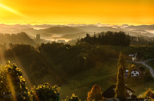 glanzanderweinstrase steiermark österreich sunrise sonnenaufgang gelb farben nebel morgens
