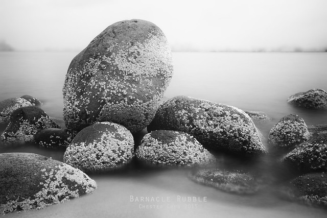 Barnacle Rubble