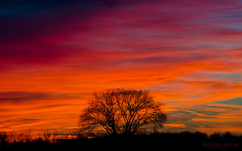 sunset ohio genoa d7000 nikon suntar auto 85210mm full manual lens old school color red orange magenta blue deep lone tree exposure