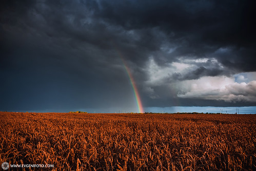 September Rainbow | by evgenikurnikov