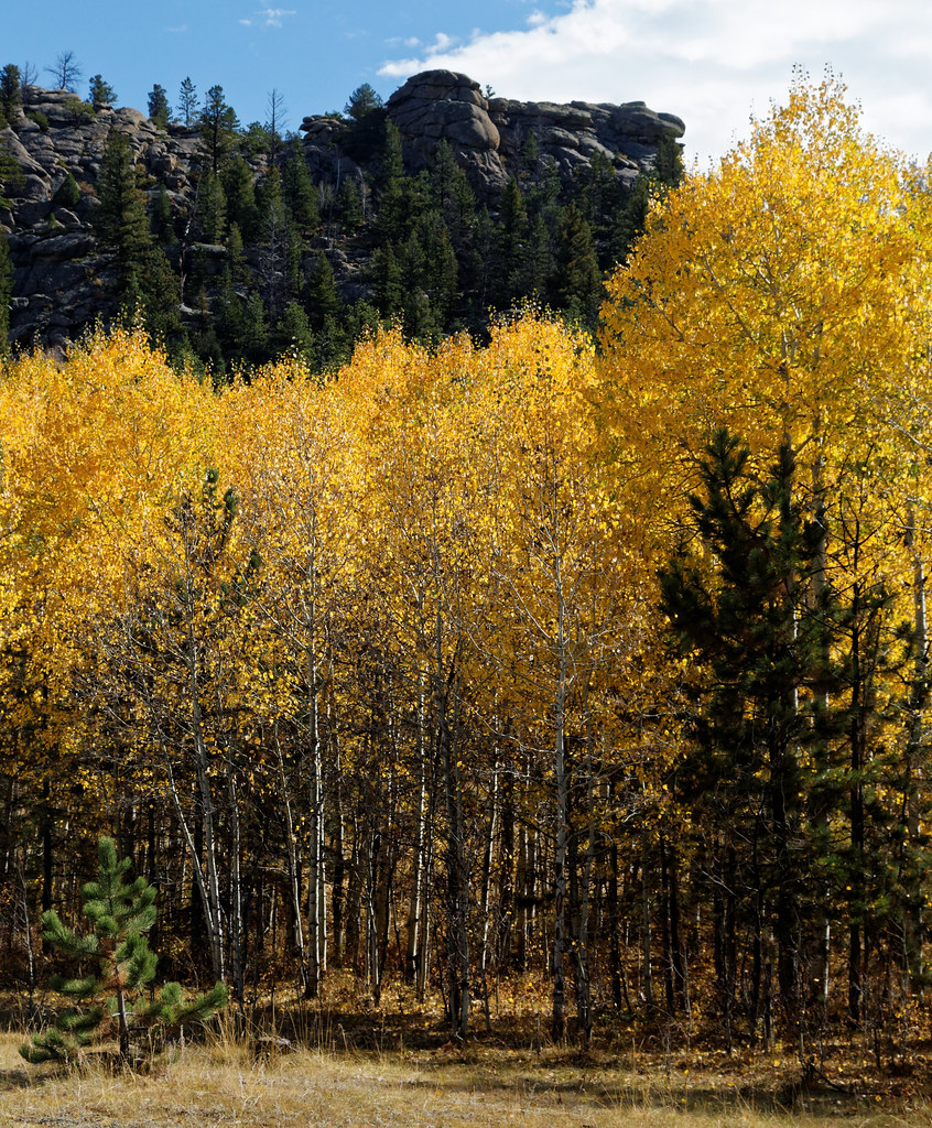 Mount Margaret Trail