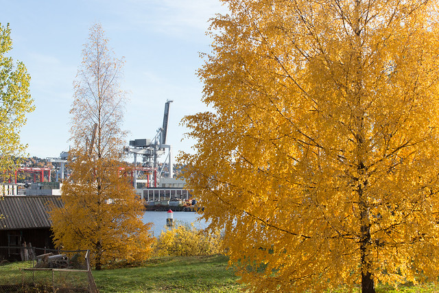 Autumn at Bleikøya