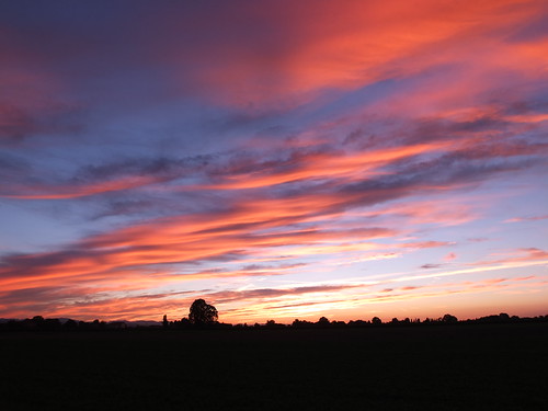 Colors@Sunset by Spider[#]Geek, 