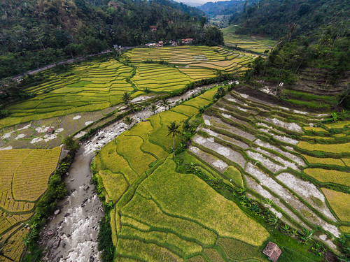 2 west field river indonesia java fly rice paddy farm id aerial vision tropical agriculture phantom garut sunda drone tasikmalaya dji jawabarat salawu