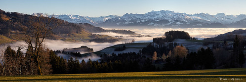 trees winter panorama mountains alps nature sunshine fog landscape schweiz switzerland nebel view natur wiese panoramic berge alpen grassland landschaft bäume sonnenschein glärnisch bergkette mountainchain