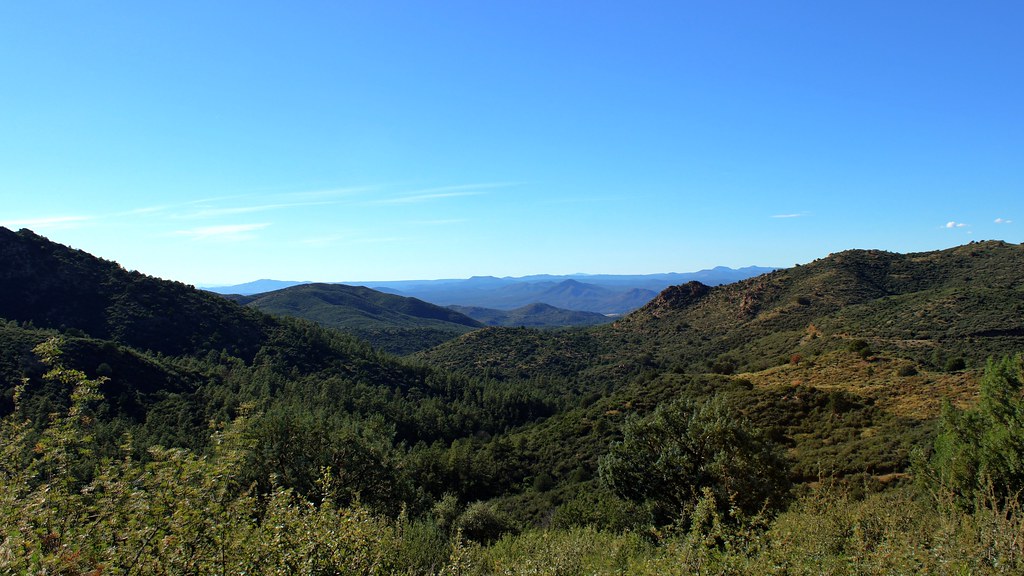 Skyline Trail #712