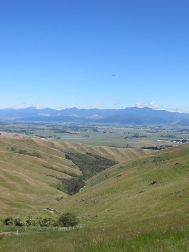 newzealand field landscape outdoor hill grassland plain marlborough foothill witherhills
