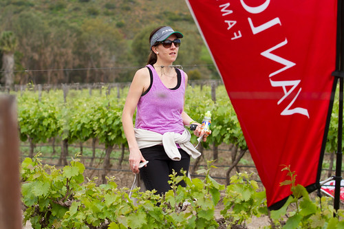 Java_0754 | by Van Loveren Wines
