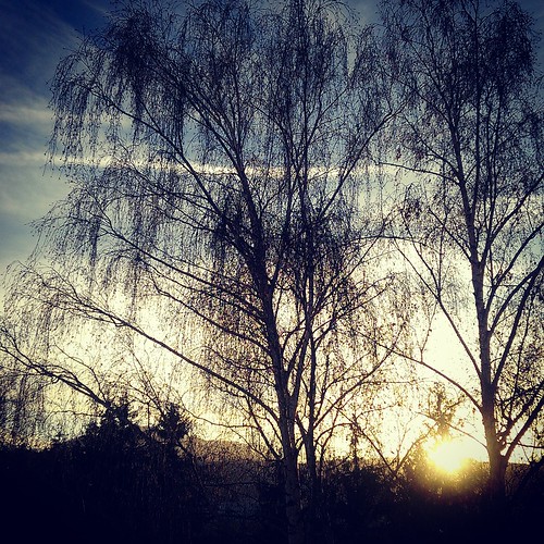 sunset apus throughthetrees printrecopaci sky cer htc instagram