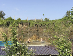 Kyndyg Hot Springs Abkhazia