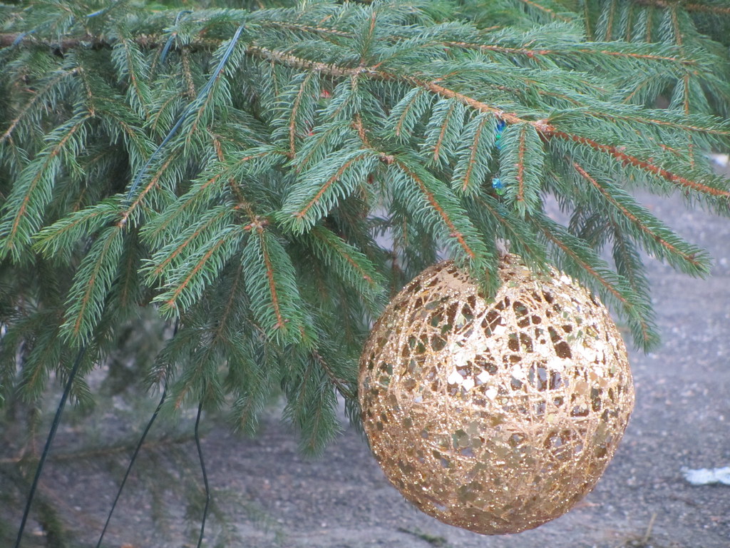 UK - Staffordshire - Milford - Shugbrough Hall - Bauble on Christmas tree