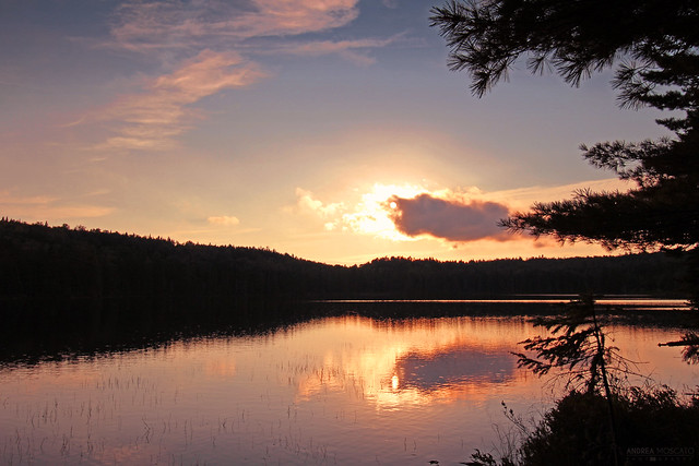 Sunset Silhouette - Lac Alphonse, La Mauricie National Park (Québec, Canada)