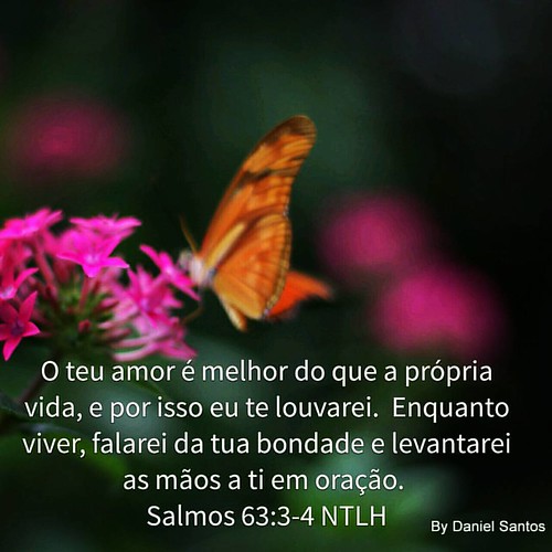 O teu amor é melhor do que a própria vida, e por isso eu te louvarei.  Enquanto viver, falarei da tua bondade e levantarei as mãos a ti em oração. Salmos 63:3‭-‬4 NTLH http://bible.com/211/psa.63.3-4.NTLH Que Deus abençoe o seu dia! #deusebom #biblia #bom | by Dante DF