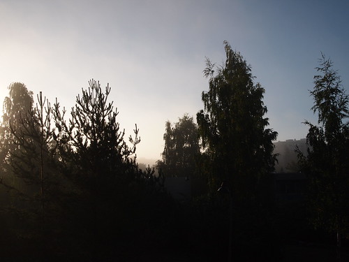 birirek | by birirek