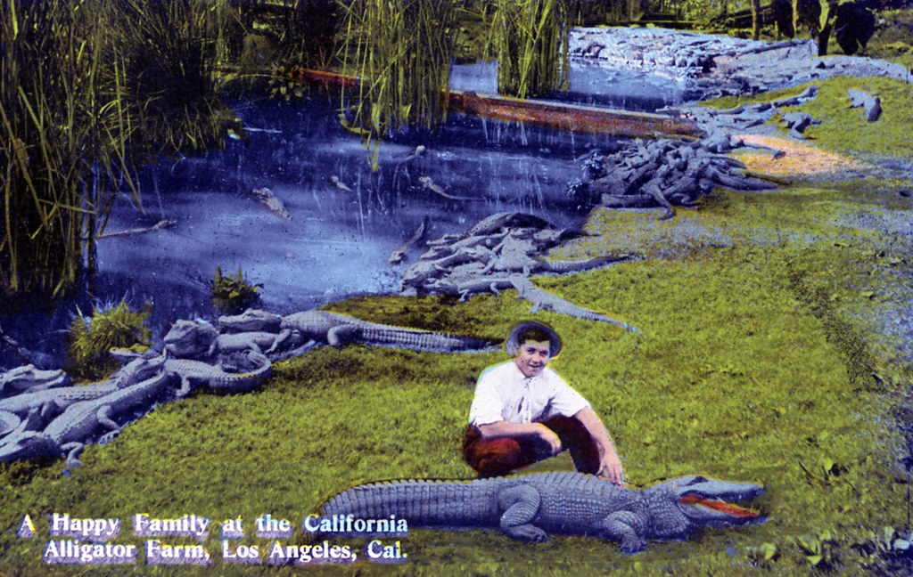 A Happy Family at the California Alligator Farm Los Angeles CA