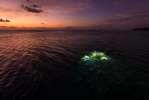 sunset island dusk scubadiving sea indonesia travel wakatobi sulawesitenggara id