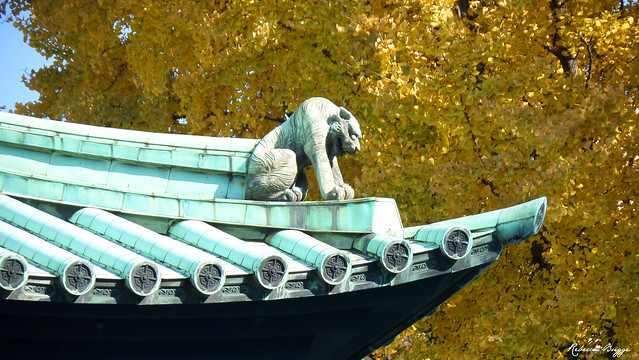 The guardian on the roof