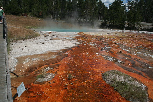 Red bacteria slime at Yellowstone hot spring