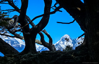 Andes and Tierra del Fuego | by Doug Scortegagna