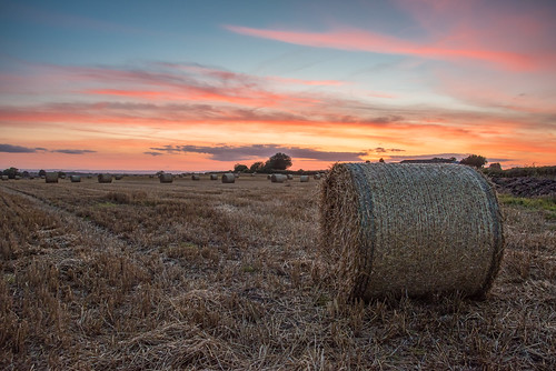 light sunset england sky sun field clouds countryside nikon farm yorkshire farming hay agriculture bale