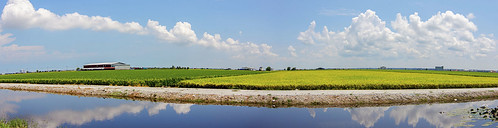 sunset panorama paddy malaysia 雲 日落 天空 selangor 稻田 全景 夕阳 sekinchan 马来西亚 戶外 适耕庄 雪兰莪 tokina1116mmf28 tokina1116mm nikond7000 ahweilungwei