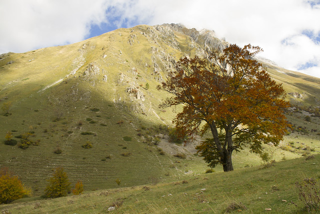 Valle del Chiarino  (1)