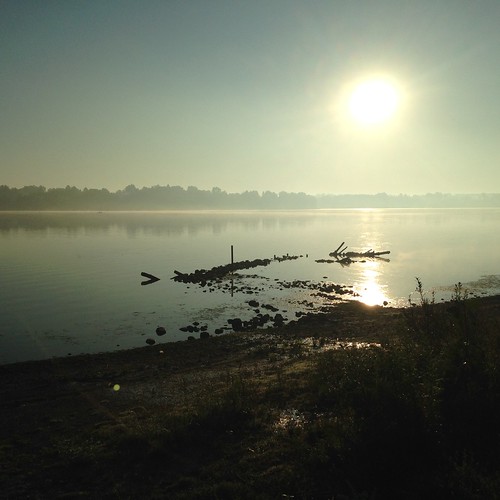 morning sun mist lake ontario london misty sunrise early outdoor shoreline fanshawe fanshawelake