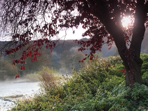 autumn mist sunrise river riverbank backlighting wye lydbrook